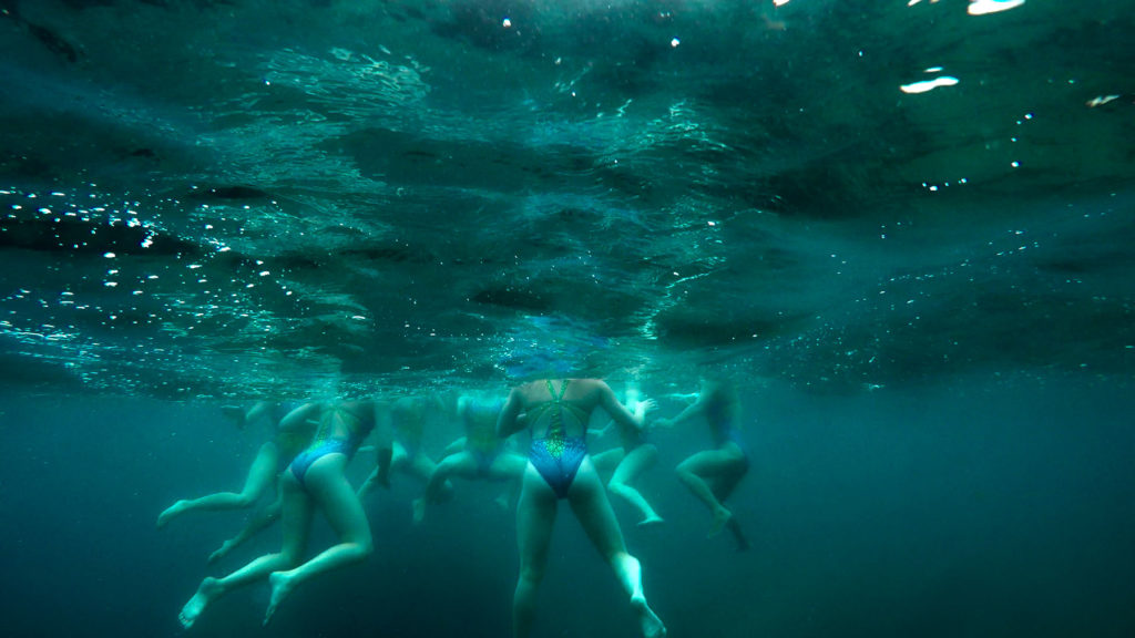 Synchronized Swimmers in Five Fathom National Marine Park, Tobermory, ON